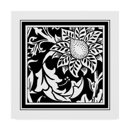 Trademark Fine Art Vision Studio 'Graphic Floral Motif Ii' Canvas Art, 24x24 WAG00221-C2424GG